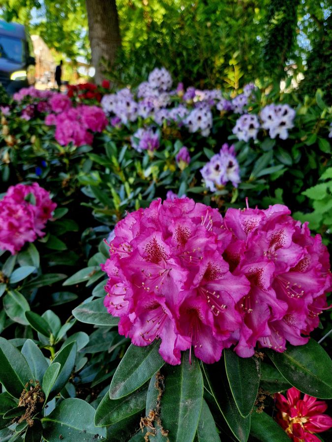 Impressionen